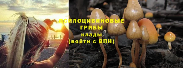 spice Алексин