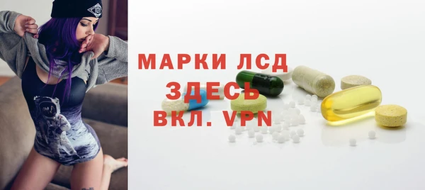ГАЛЛЮЦИНОГЕННЫЕ ГРИБЫ Алзамай